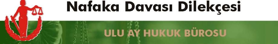 nafaka dava dilek