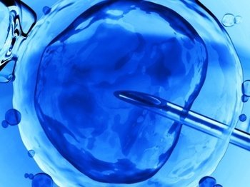 Atlas 体外受精捐款中心