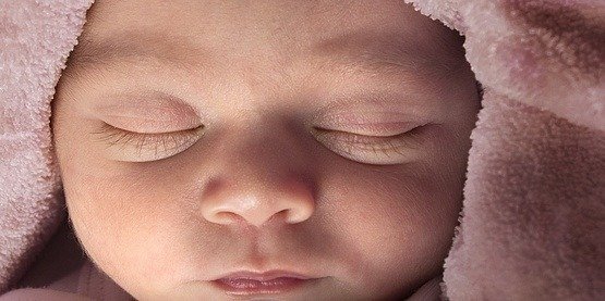 卵子捐款的中心