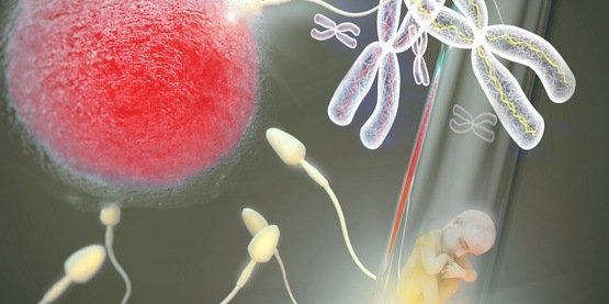 卵子，精子，胚胎捐赠和代孕母亲