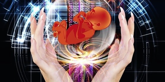 卵细胞捐赠论坛