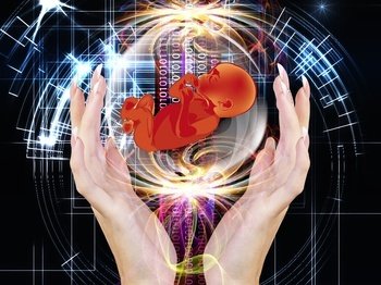 卵细胞捐赠论坛