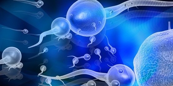 格鲁吉亚的精子捐赠