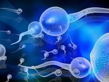 格鲁吉亚的精子捐赠