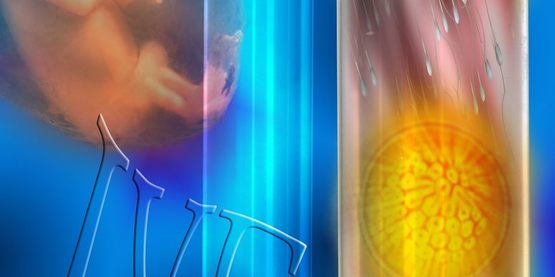 试管婴儿，PGD制造商